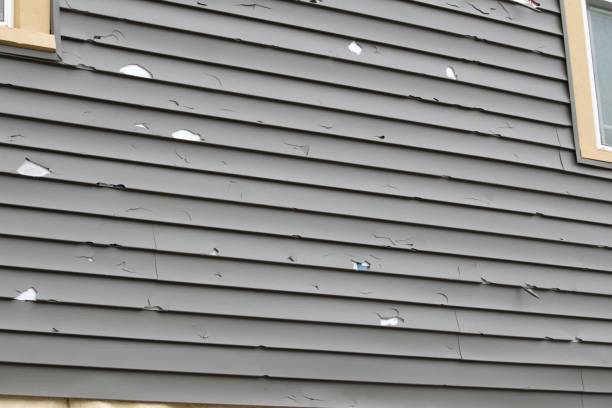 Best Dumpster Rental Services  in Clay City, IN