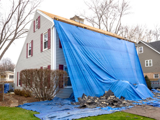 Best Dumpster Rental Services  in Clay City, IN